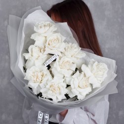 francuzskie rozy belye rozy 9 roz 7 